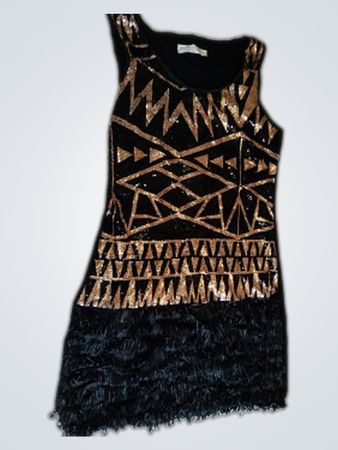 Sequined Fringe Dress