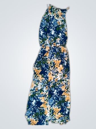 Barred's Floral Printed Sleeveless Dress