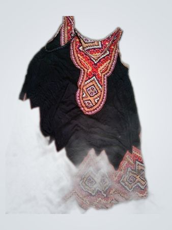 Black and Red Embroidered Top