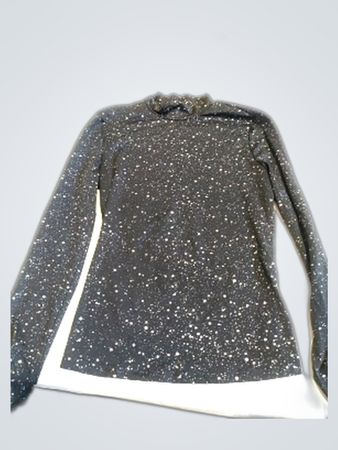 Long Sleeve Sparkly Top
