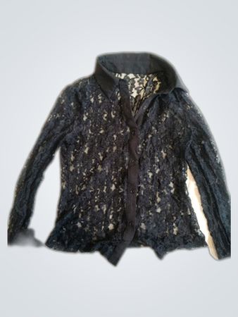 Zara Sheer Lace Blouse