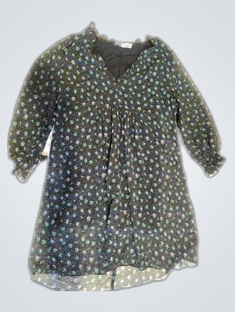 Zara Printed Sheer Blouse