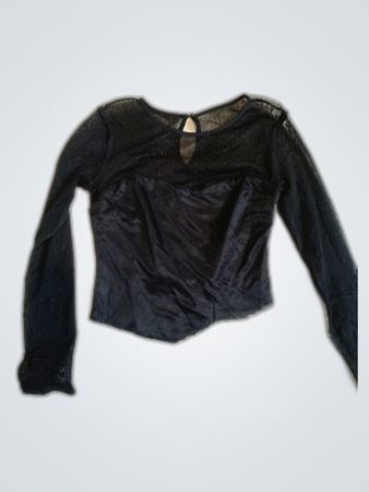 Zara Sheer Mesh Long Sleeve Blouse