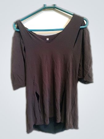 Zara Sheer Cut-Out Shoulder Blouse