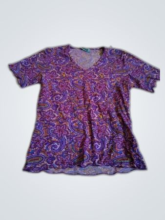 SKYSS'S Paris Printed V-Neck Blouse