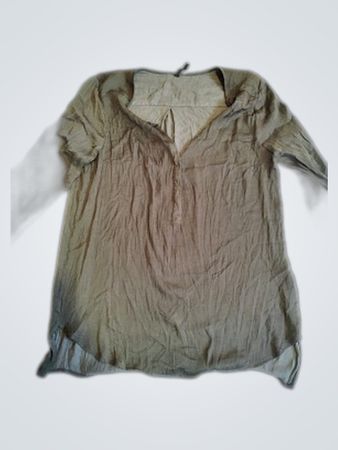 Olive Green Sheer Long Sleeve Blouse