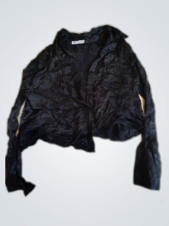 Zara Sheer Long Sleeve Blouse