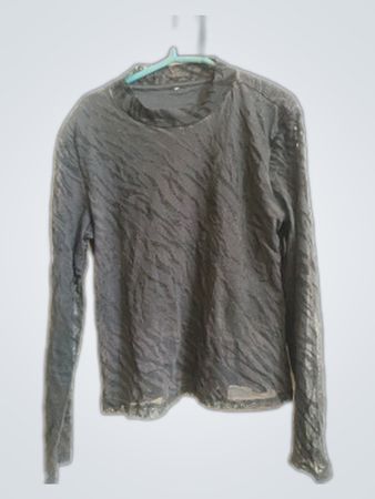 Zara Sheer Long Sleeve Blouse