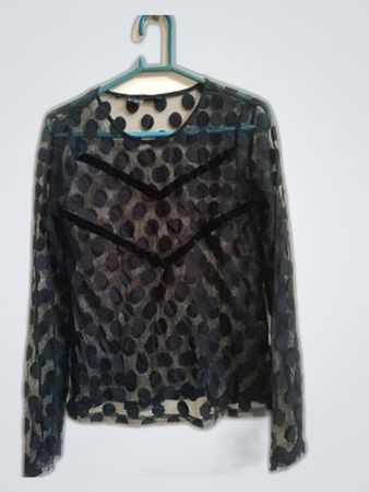Bodice Sheer Polka Dot Blouse