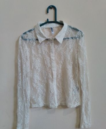Page Sheer Lace Blouse