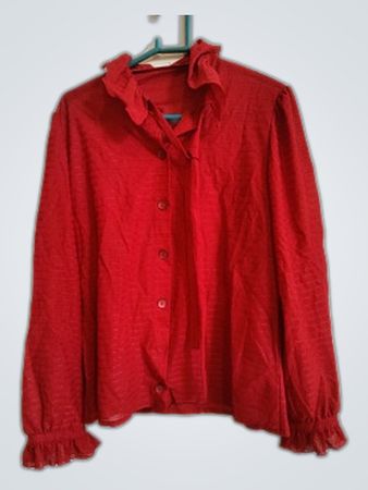Red Ruffled Blouse