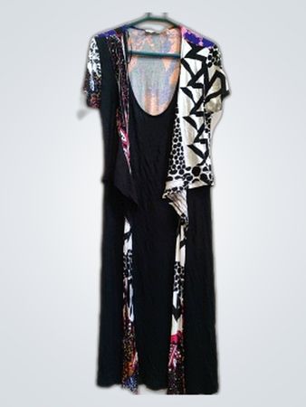 Zara Printed Multi-Color Midi Dress
