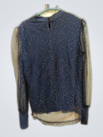 Sheer Sparkly Long Sleeve Blouse