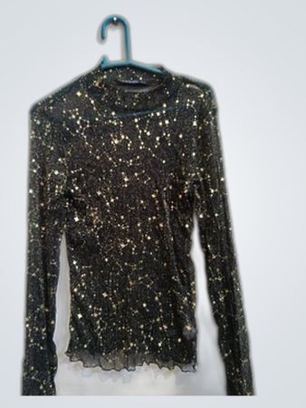 Lucce Sheer Sequined Blouse