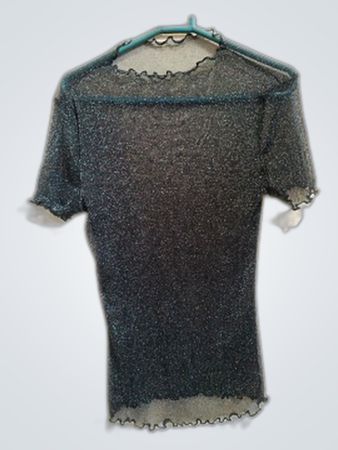 Sheer Sparkly Blouse