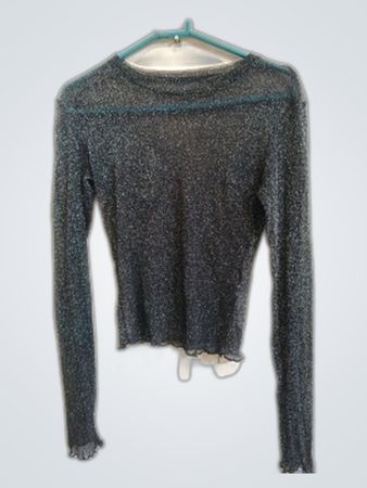 Sheer Glitter Long Sleeve Blouse