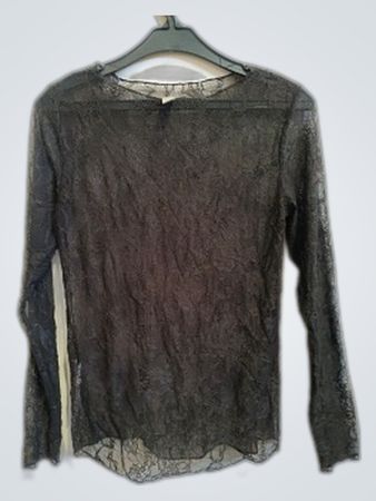 Zara Sheer Black Long Sleeve Blouse