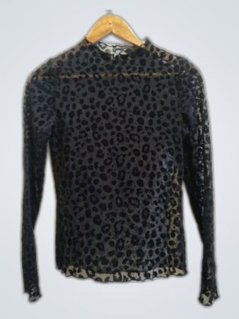Pieces Sheer Leopard Print Long Sleeve Blouse