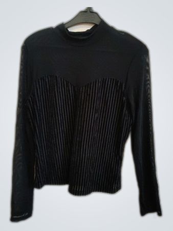 Black Sheer Mesh Long Sleeve Blouse