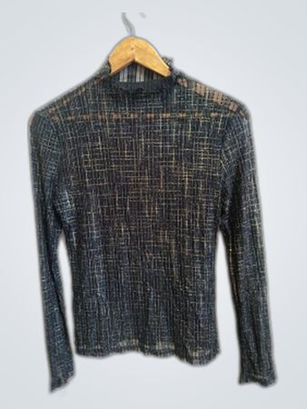 H&M Sheer Mesh Blouse