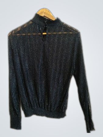 Pieces Sheer Glittery Blouse