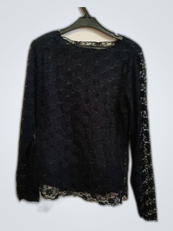 Zara Sheer Lace Blouse