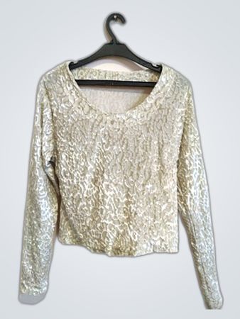 Silver Long Sleeve Sequin Top