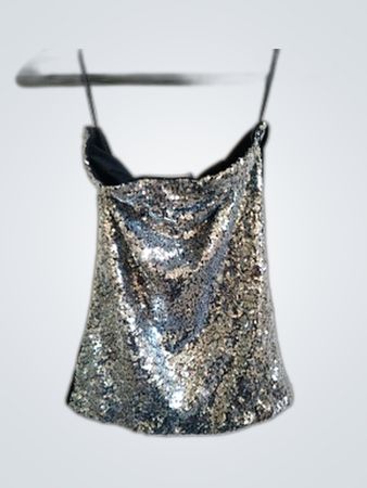 No Doubt Casual Silver Sequined Tube Top