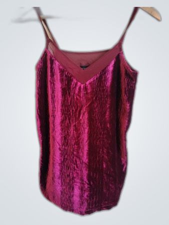 Laura Scott Purple Velvet Cami Top