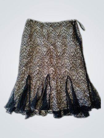 Coast Lace Skirt