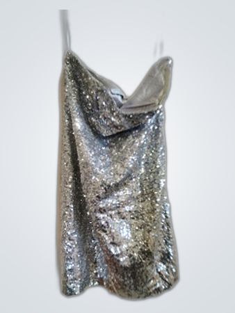 Silver Glittery Top
