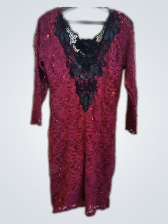 Quiz Sequin Lace Mini Dress