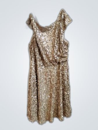 Gold Sequin Dress