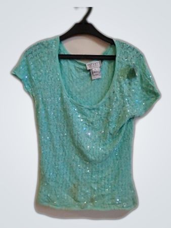 Talbots Teal Sequin Short Sleeve Top