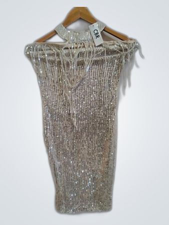 Sequin Dress