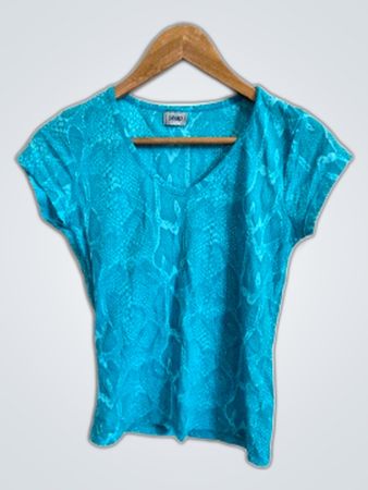 Blue Short-Sleeve Top