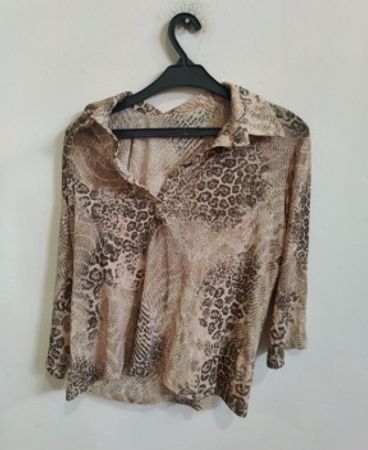 Animal Print Blouse