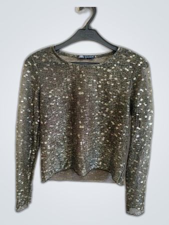 Zara Metallic Sequin Long-Sleeve Top