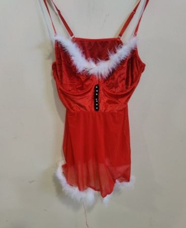 Red Dress with White Fur Trim