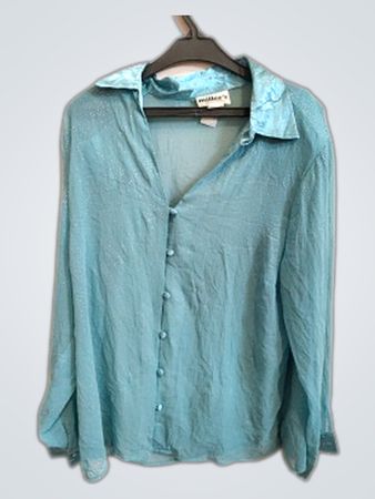 Miller's Teal Sheer Button-Down Blouse