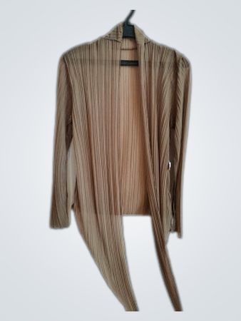 Brown Pleated Long Sleeve Top