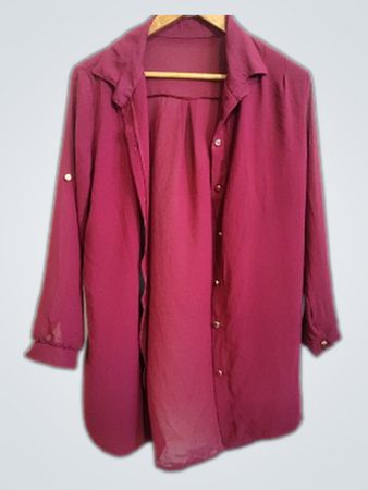 Sheer Long Sleeve Button-Down Blouse