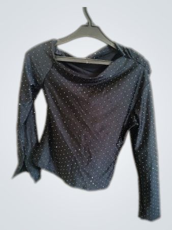 Long Sleeve Sparkly Top