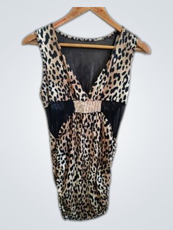 Leopard Print Dress