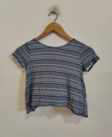 Blue and White Striped Cropped T-Shirt