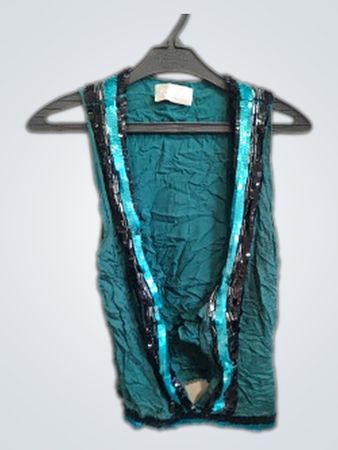 The Wardrobe Teal Sleeveless Top