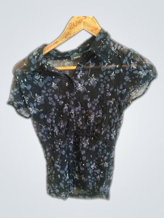 H&M Sheer Floral Collar Blouse