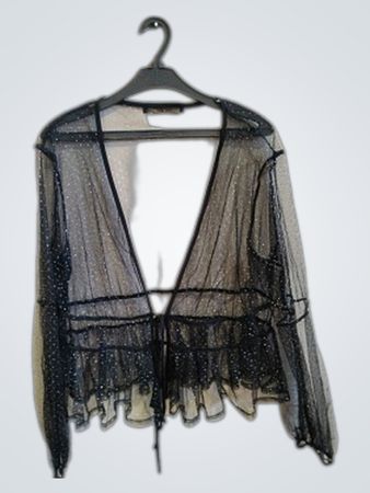 Hesperus Black Sheer Top
