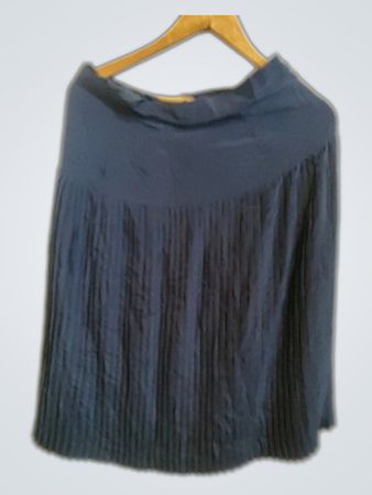 Blue Pleated Skirt