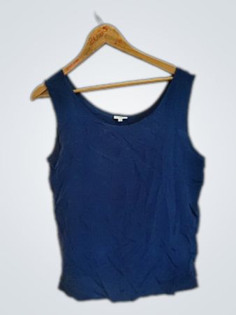 Blue Sleeveless Top